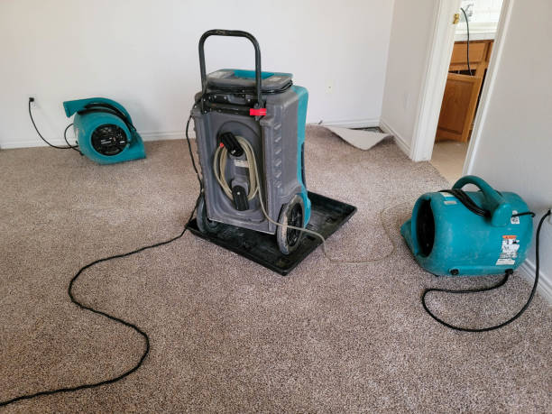 Best Flood damage cleanup  in Beechwood Village, KY