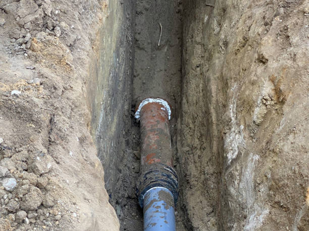 Best Flood damage cleanup  in Beechwood Village, KY