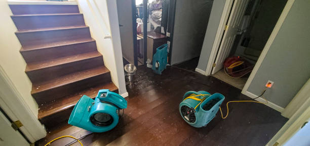 Best Sewage cleanup and water damage restoration  in Beechwood Village, KY