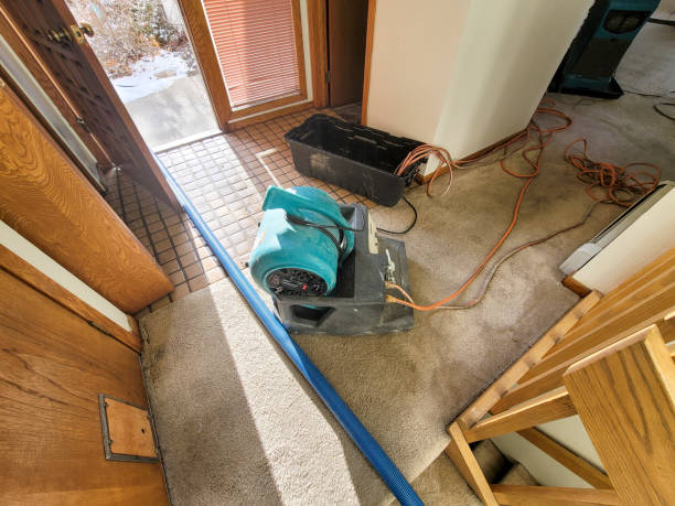  Beechwood Village, KY Water damage restoration Pros