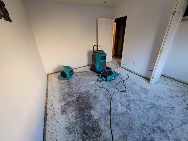 Beechwood Village, KY Water damage restoration Company