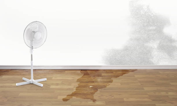 Best Flood restoration services  in Beechwood Village, KY
