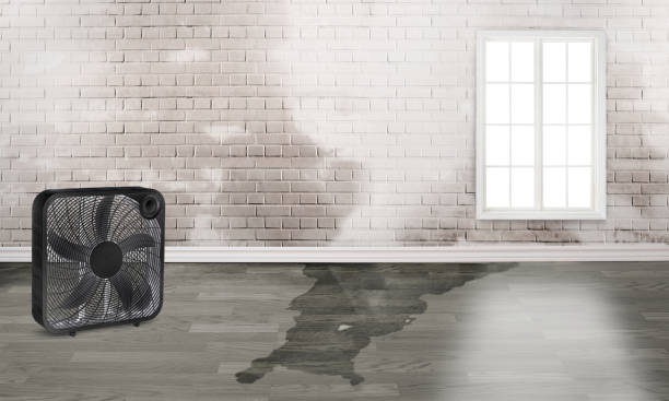 Best Water damage restoration near me  in Beechwood Village, KY