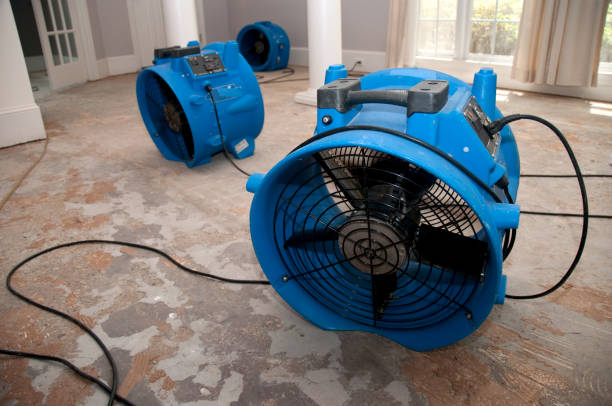 Best Fire Damage Restoration  in Beechwood Village, KY